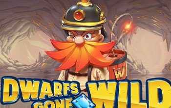Dwarfs Gone Wild